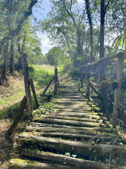 Petit pont en bois en début de promenade