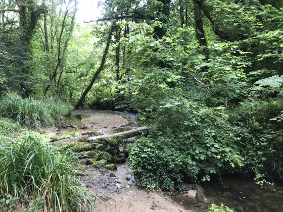 Petit pont en pierre
