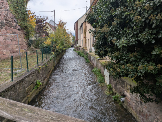 Petit pont enjambant le canal