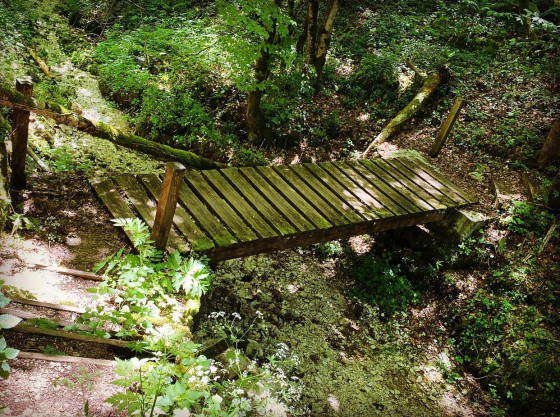 Petit pont juste avant les falaises
