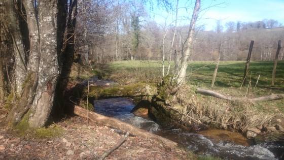 Petit pont planche