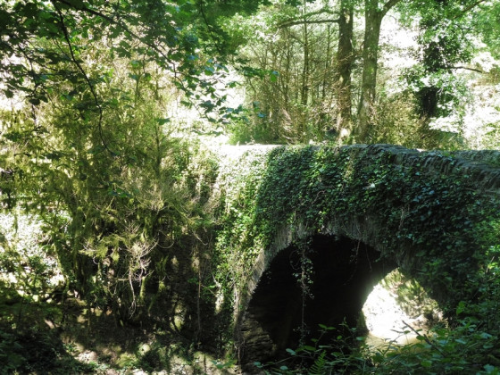 Petit pont sentier Vabre - sidobre tourisme
