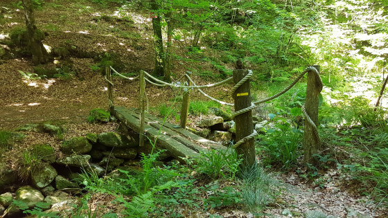 Petit pont