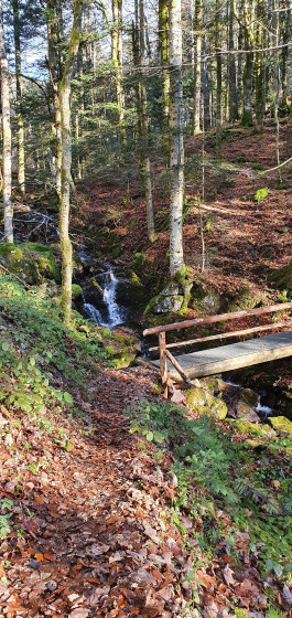 petit pont