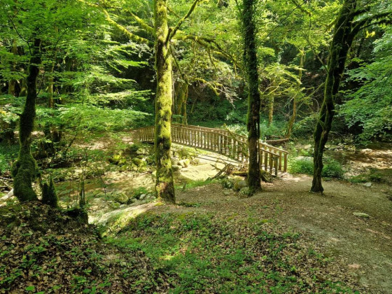Petit pont