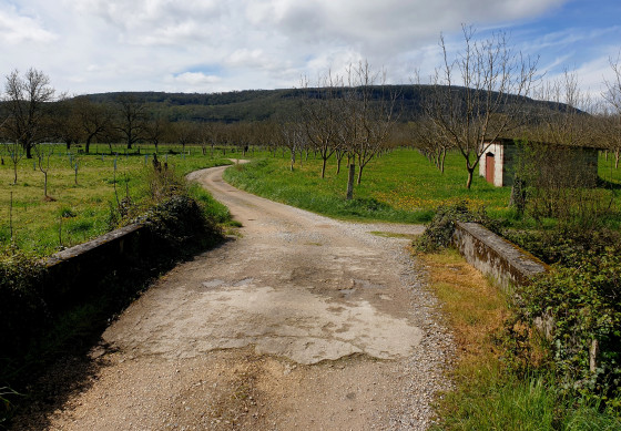 petit pont