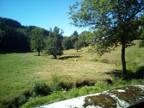 petit pont