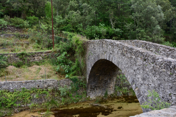 Petit pont