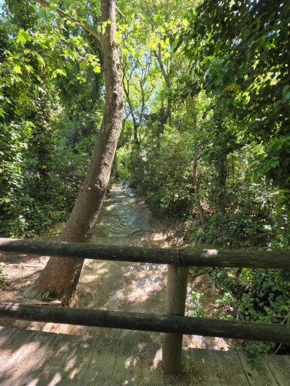 Petit Pont