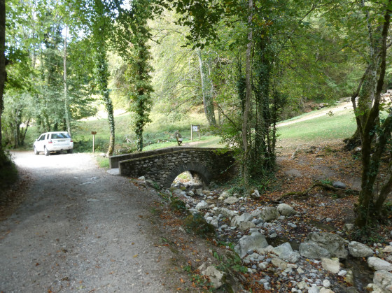 Petit pont