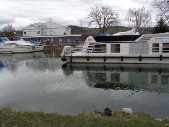 Petit port de plaisance de Kembs