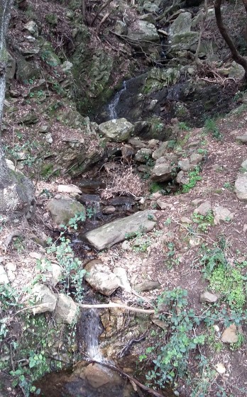 Petit ruisseau
