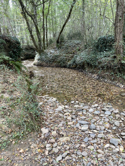 Petit ruisseau