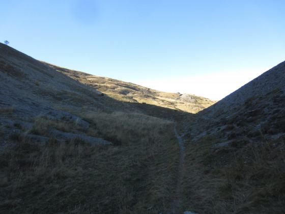Petit sentier dans les alpages de Sauvegréous