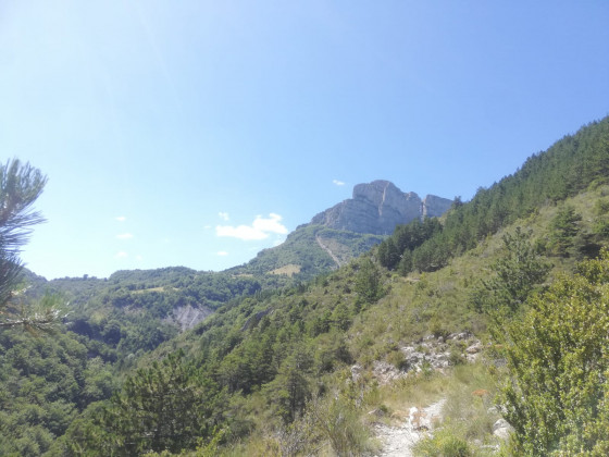 Petit sentier de pierres