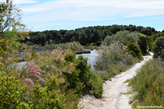 Petit sentier