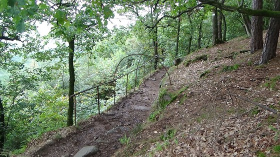 petit sentier