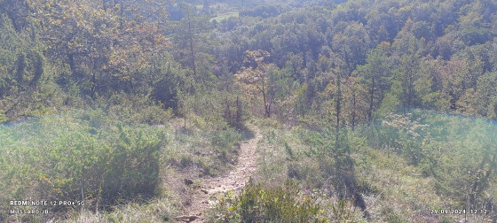 Petit sentier