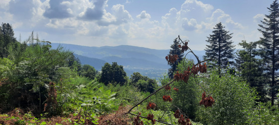 PETIT SENTIER