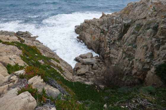 Petite calanque &agrave; la pointe du Canadel