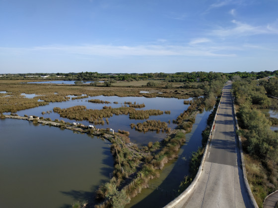 Petite Camargue