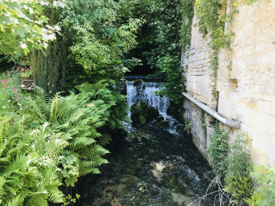 Petite cascade à Rupt aux Nonains