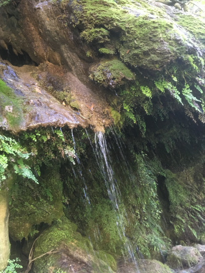 Petite Cascade  au pont de Tuve