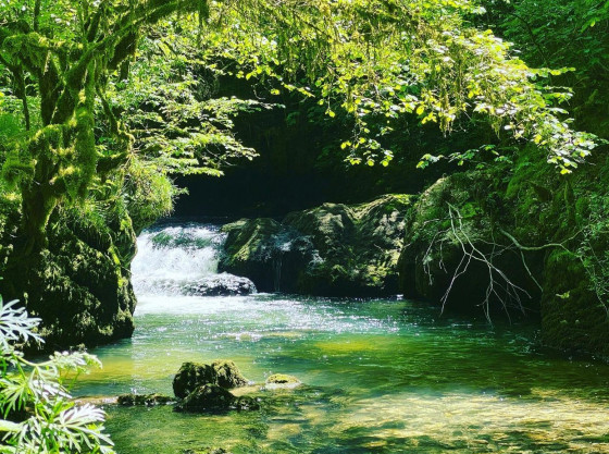 Petite cascade caché au fond d’un sentier