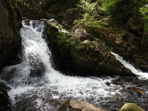 Petite cascade du Tendon