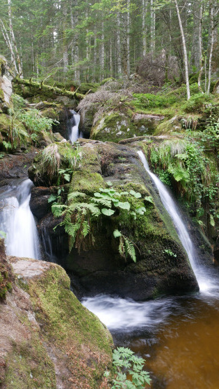Petite cascade en suivant le ruisseau