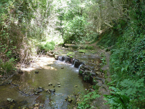 Petite cascade sur la Nize