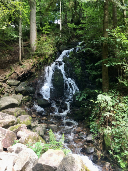 Petite cascade