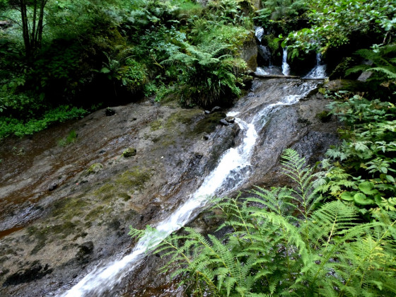 Petite cascade