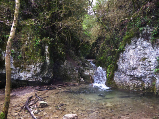 Petite cascade