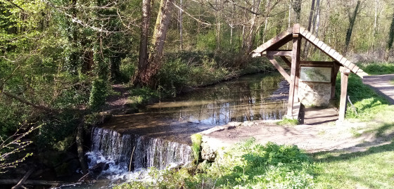 Petite chute d'eau