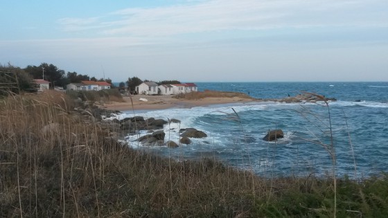 Petite crique au pied du phare des Corbeaux
