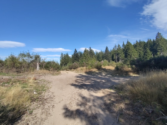 Petite croix du carrfour des 5 chemins (WP n° 4)