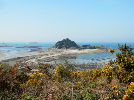 Petite île