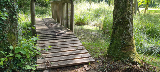 Petite passerelle d'observation des mares .