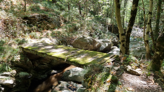 Petite passerelle