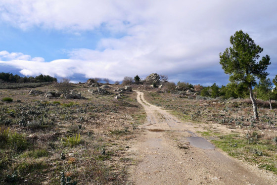 Petite piste, paysage, rochers