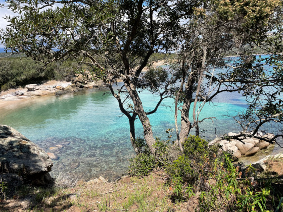 Petite plage aux eaux turquoise