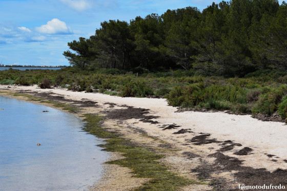Petite plage