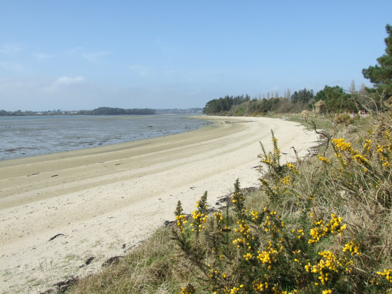 Petite plage