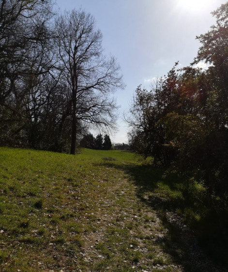 Petite remontée à Rozin