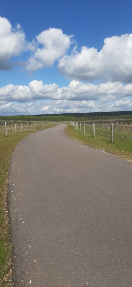 Petite route au milieu de nulle part