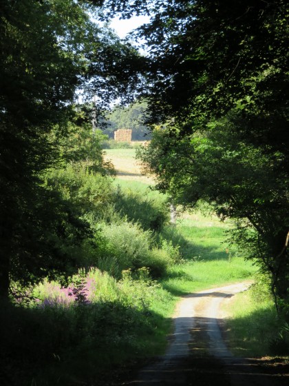 Petite route dans la campagne de Moulins-sur-C&eacute;phons