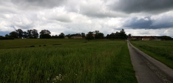 Petite route paisible