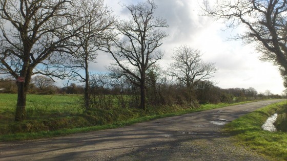 Petite route