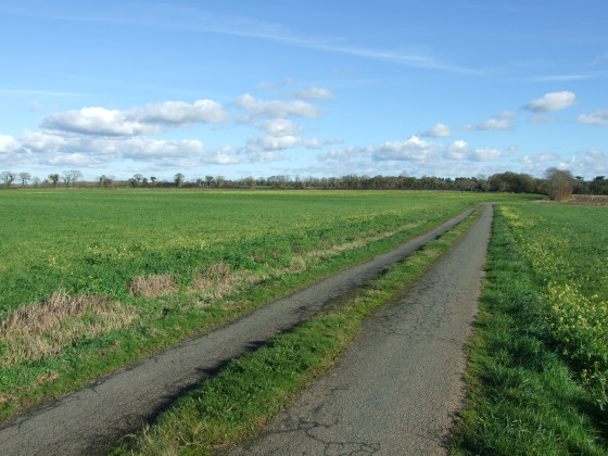Petite route